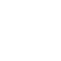 Logo Crossover White